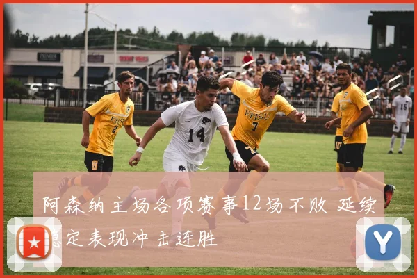 阿森纳主场各项赛事12场不败 延续稳定表现冲击连胜