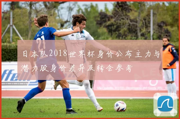 日本队2018世界杯身价公布主力与潜力股身价差异及转会参考