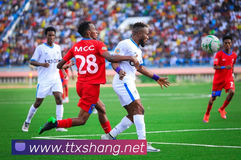 App Interface Preview