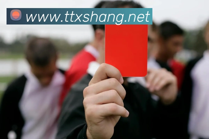 星空网页版入口APP 封面图